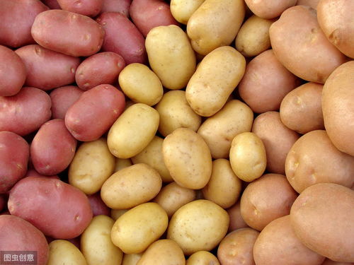 贵州人让土豆的吃法五花八门,我却独爱这一种,又香又辣又过瘾