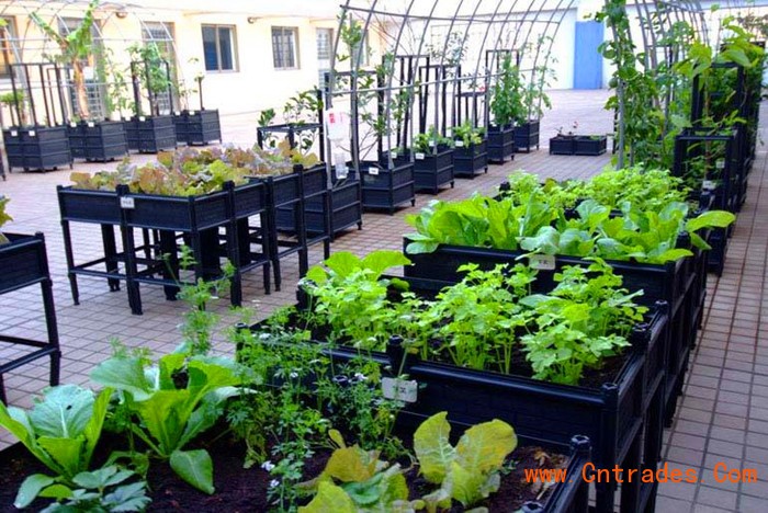 阳台种菜 单层单体种植箱 蔬菜种植盆